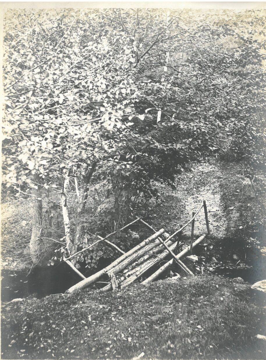 Lulu Cascade Bridge. Pitssfield, 1898
